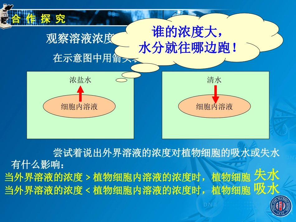 342绿色植物的生长需要水和无机盐（二）_第3页