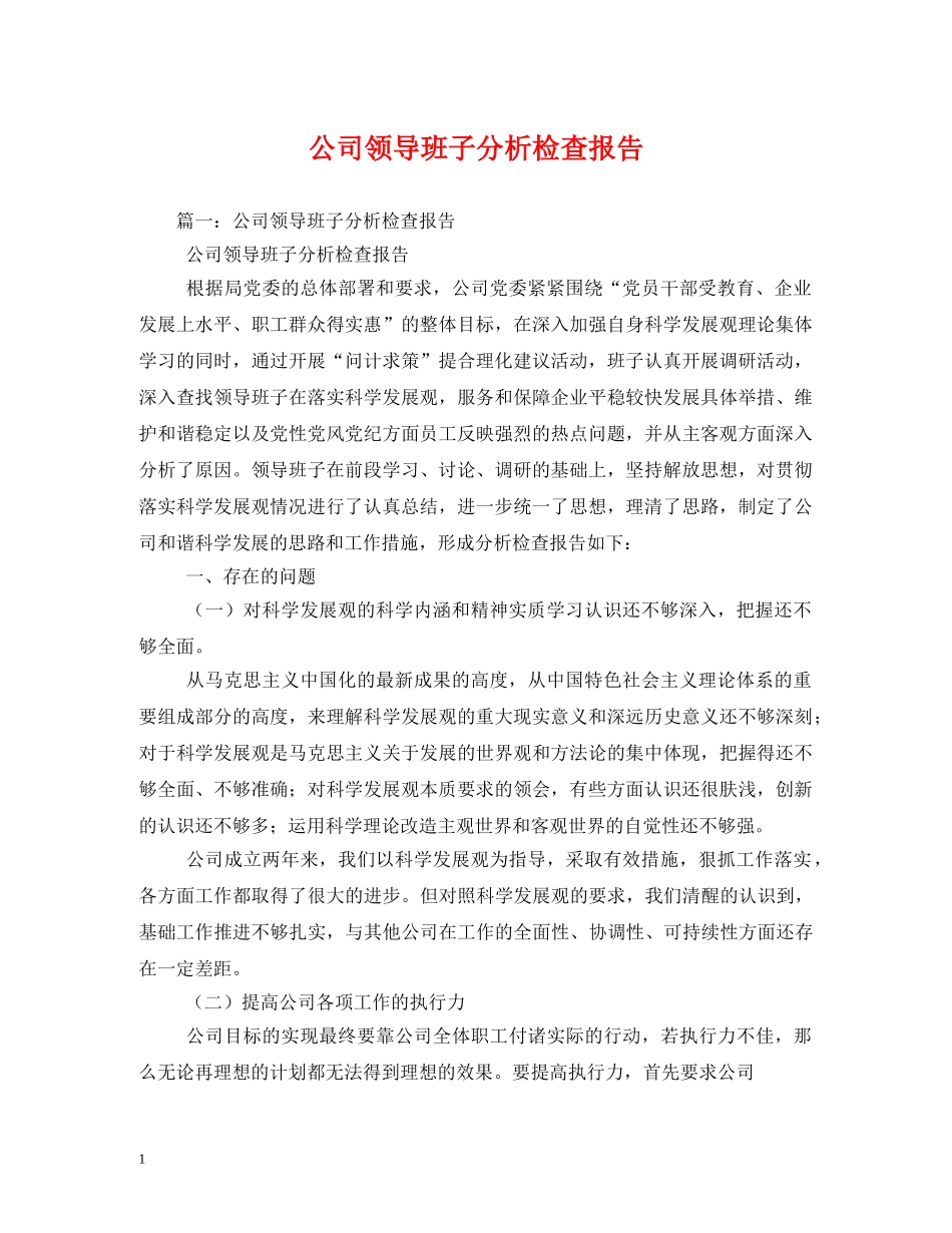 公司领导班子分析检查报告 _第1页