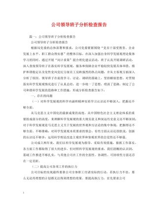 公司领导班子分析检查报告 