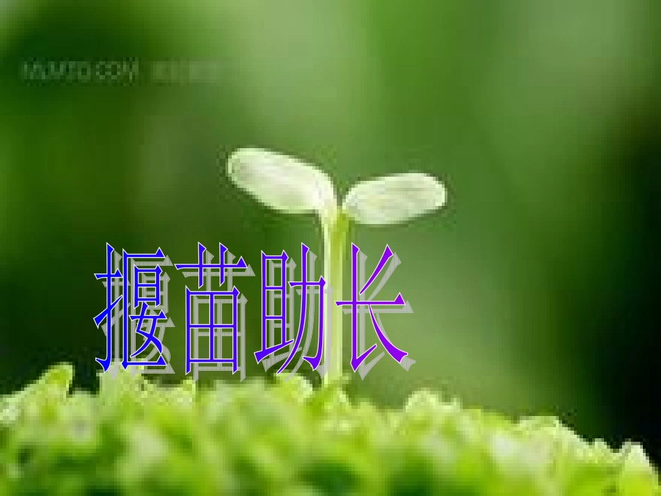 第五板块《揠苗助长》_第1页