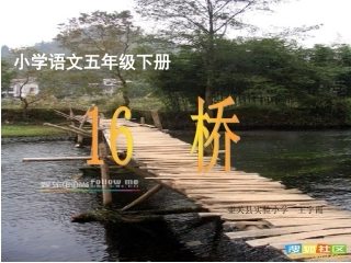 《桥》教学课件