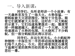 斑羚飞渡定稿