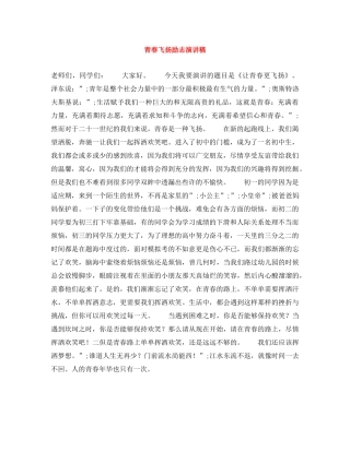 青春飞扬励志演讲稿 