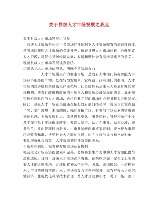 关于县级人才市场发展之我见 