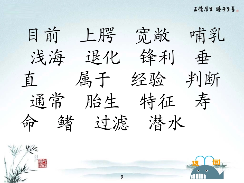 （课堂教学课件2）鲸_第2页