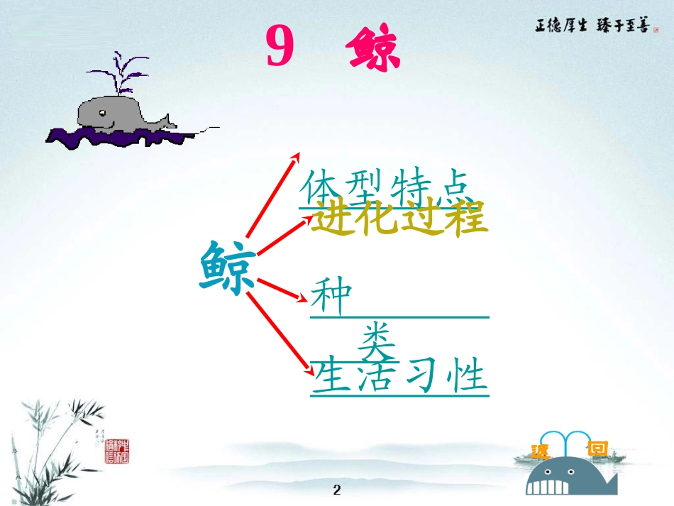 （课堂教学课件2）鲸_第3页