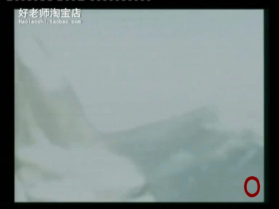 神奇的中草药_第2页