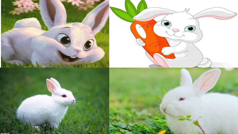 童谣里的动物_第3页