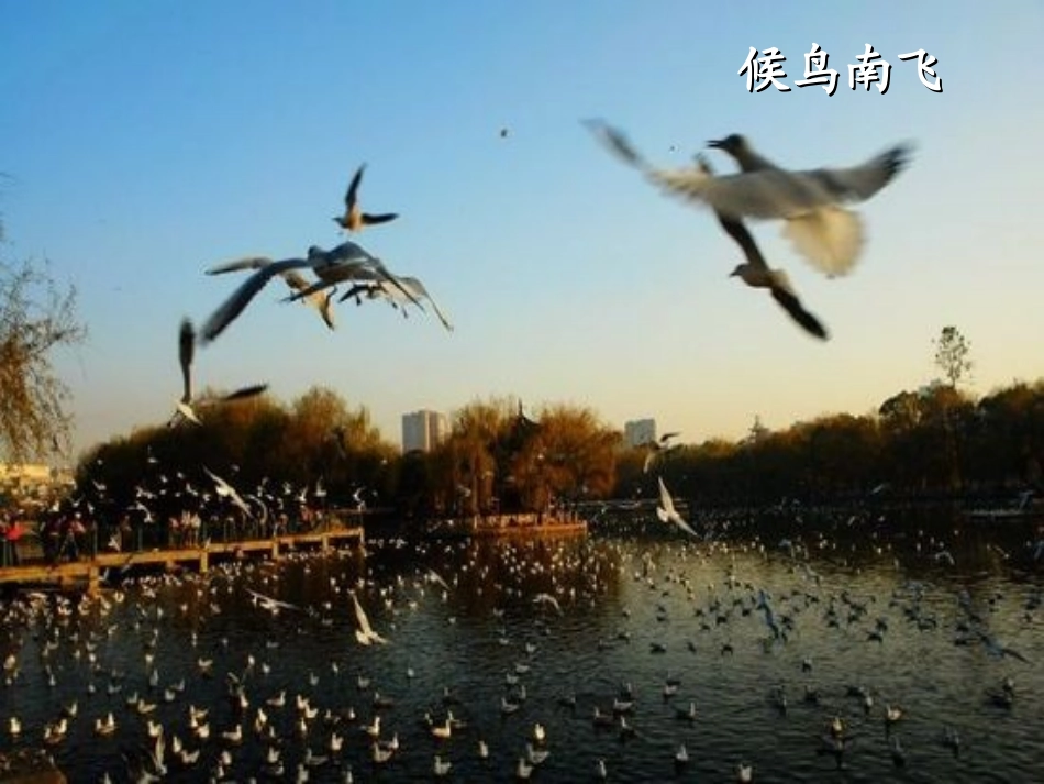 铭记感恩(感恩演讲比赛ppt)徐萍_第2页
