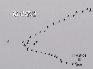 铭记感恩(感恩演讲比赛ppt)徐萍