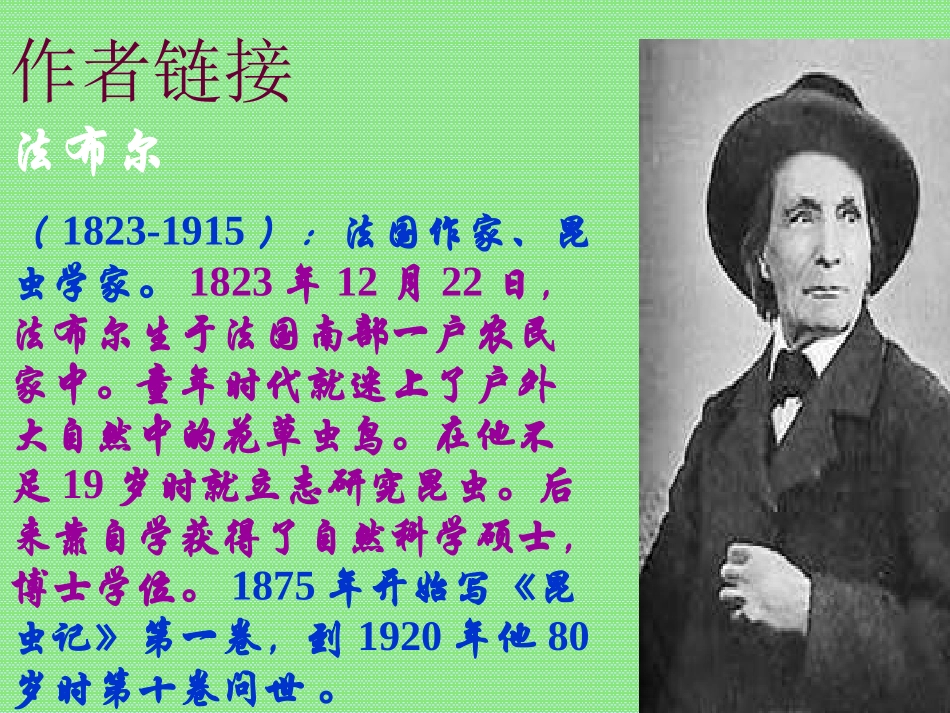 23、绿色蝈蝈_第2页