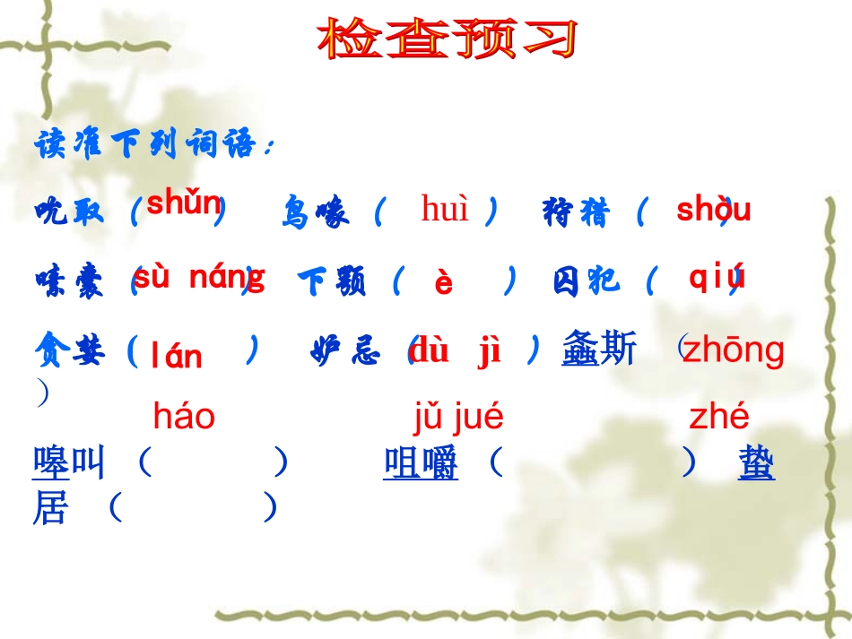 23、绿色蝈蝈_第3页