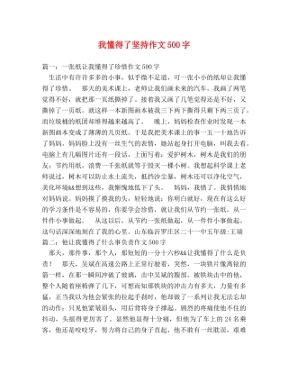 我懂得了坚持作文500字 