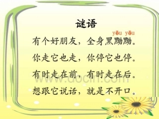 39《影子》课件3