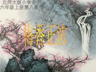 梅香正浓课件