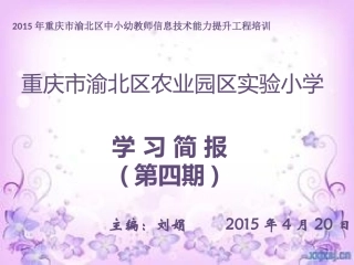 简报（第4期）