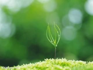 （使用）囚绿记