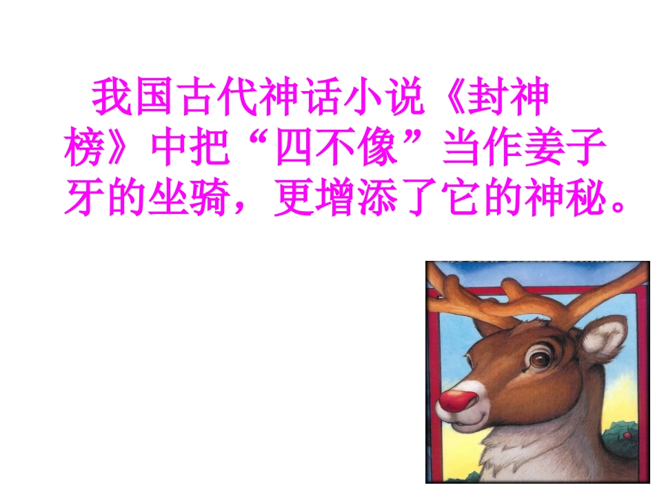 苏教版六上麋鹿课件_第3页