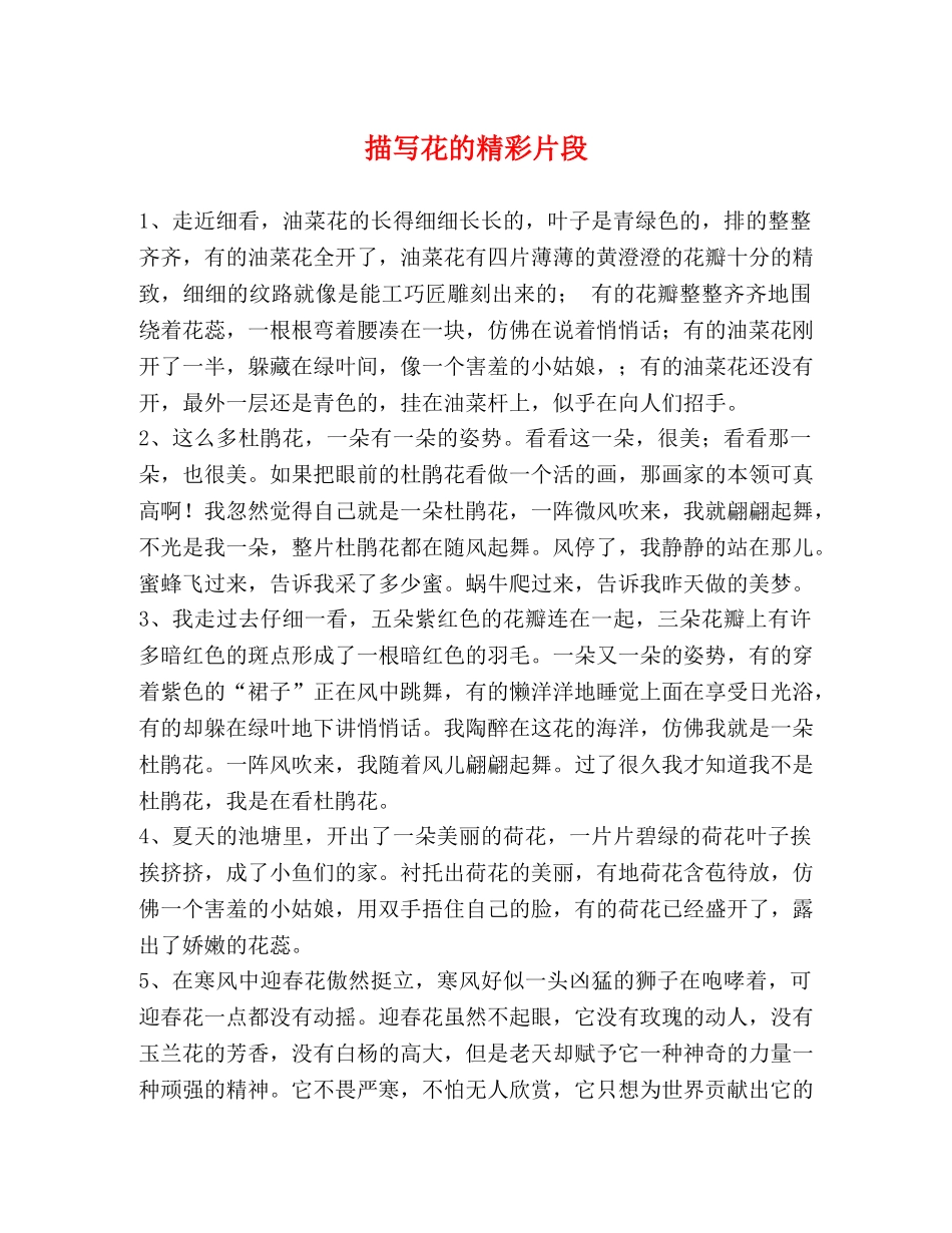描写花的精彩片段 _第1页