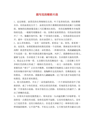 描写花的精彩片段 