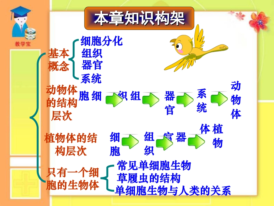第三章细胞怎样构成生物体总复习_第3页