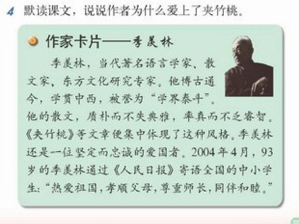 19夹竹桃（1）_第3页