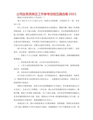 公司业务员转正工作参考总结五篇合集2024 