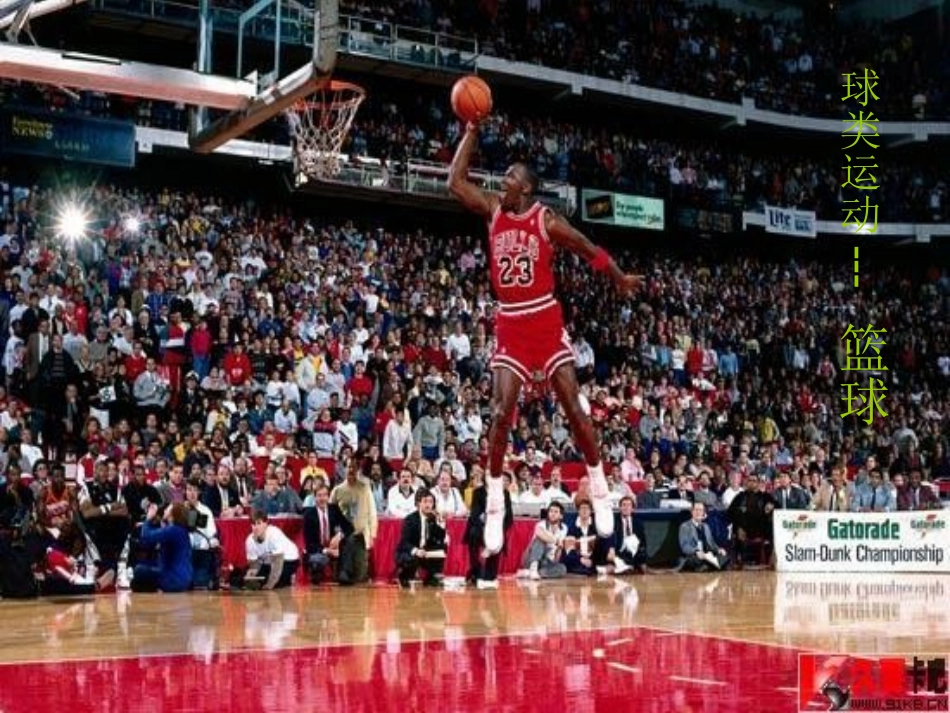 篮球基本知识__课件_第2页