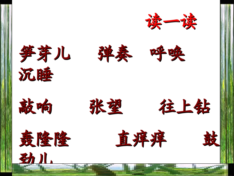 2《笋芽儿》课件_第3页