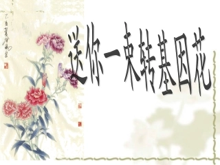 送你一束转基因