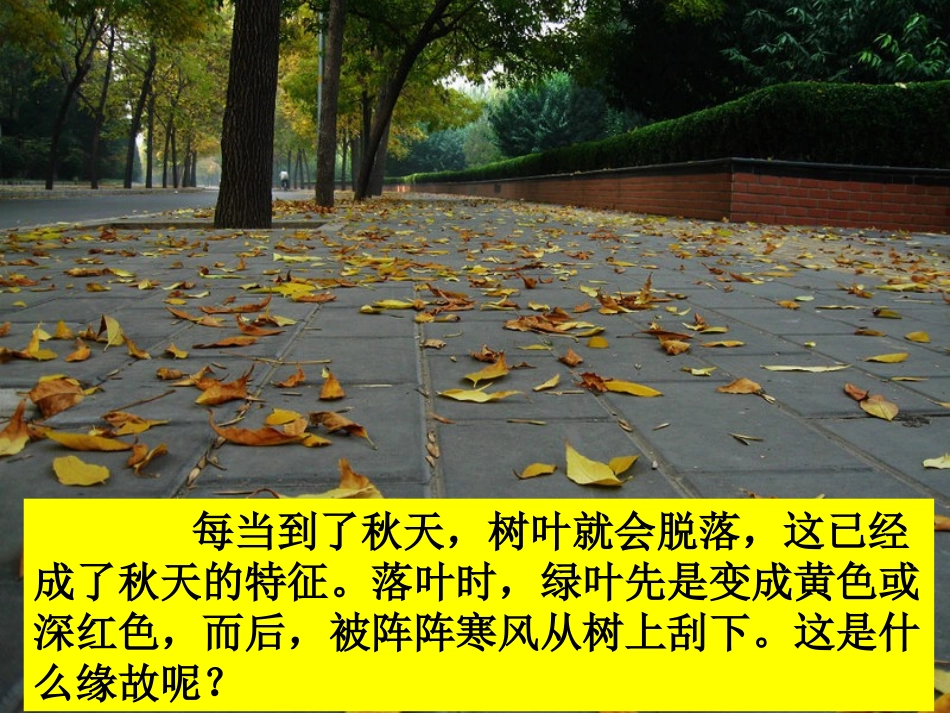 第三课岩石会改变模样吗？ (2)_第3页