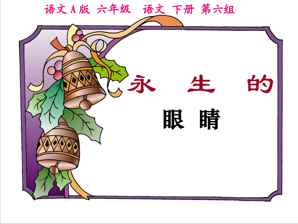 （语文A版）六年级语文下册课件永生的眼睛4_第1页