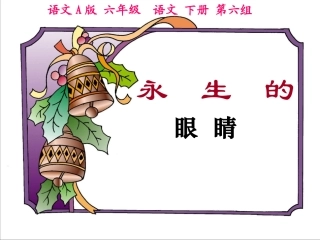 （语文A版）六年级语文下册课件永生的眼睛4