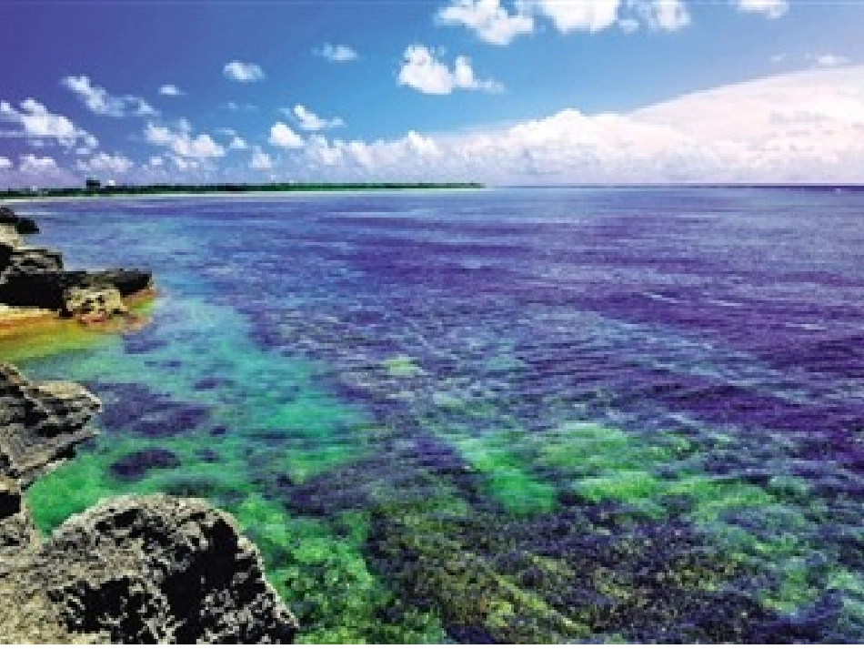 西沙群岛 (3)_第3页