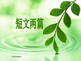 18短文两篇