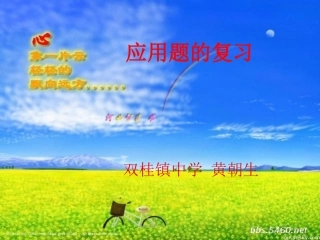 应用题的专辑二元一次方程组 (3)