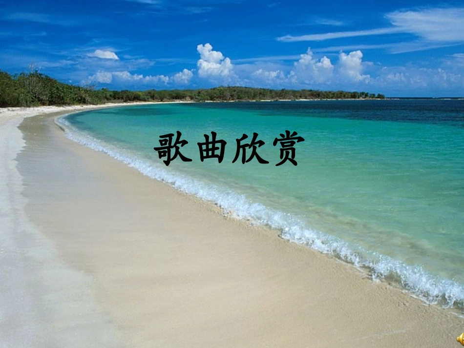 赶海课件（上）_第1页