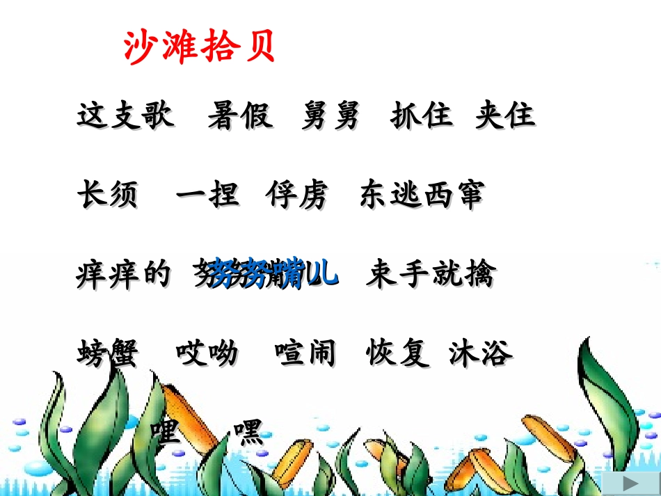 赶海课件（上）_第3页