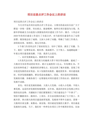 项目巡查点评工作会议上的讲话 
