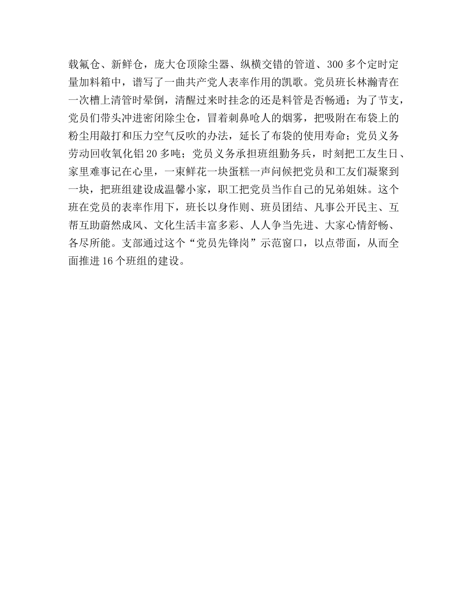 公司先进党支部代表发言材料 _第3页