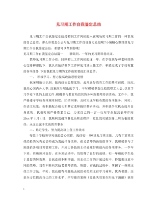 见习期工作自我鉴定总结 
