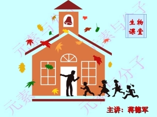 元素和化合物