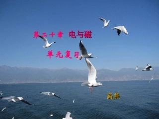 复习课电与磁