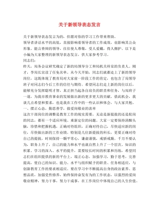 关于新领导表态发言 