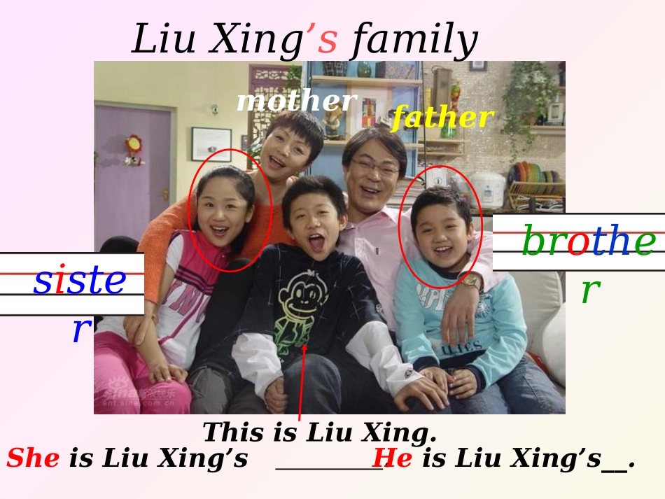 unit2_my_family课件_第2页