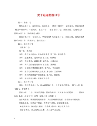 关于追逐的组口号 