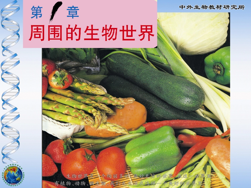 周围的生物世界_第1页