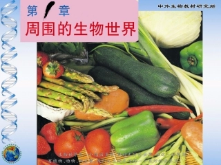 周围的生物世界
