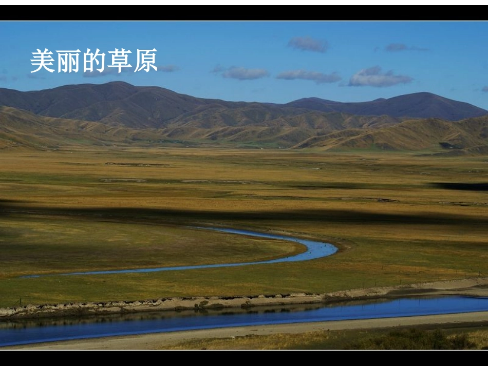 18维护生态平衡_第3页