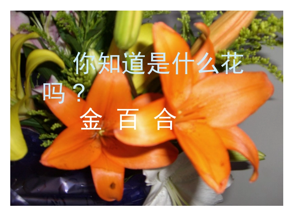 茂密的花二年级_第2页